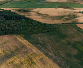Produkto ir NT fotografas / Lukas Kučinskas / Darbų pavyzdys ID 2894641