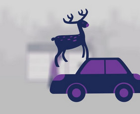 3d 2d Animacija, Vfx / Vytautas Rimkus / Darbų pavyzdys ID 2896483