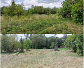 Žolės Pjovimas / Aplinkos Priežiūra / Mantas Ruginis / Darbų pavyzdys ID 2899149