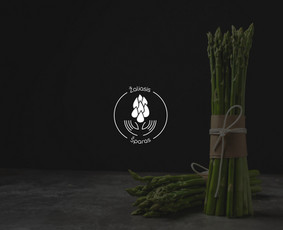 Logotipų kūrimas - Grafinis dizainas - Maketavimas / Ganna Pakhomova / Darbų pavyzdys ID 2899335