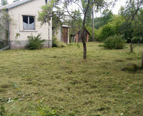 Žolės pjovimas trimeriu, vėjapjove, traktoriuku Vilniaus r. / Egidijus / Darbų pavyzdys ID 2899347