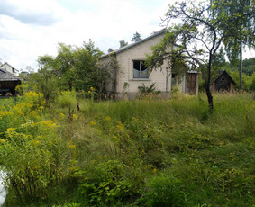 Žolės pjovimas trimeriu, vėjapjove, traktoriuku Vilniaus r. / Egidijus / Darbų pavyzdys ID 2899349