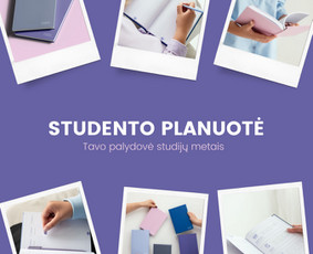 Evelina - studentų asmeninė konsultantė - Rašto darbų konsultantai - 1 Rašto darbų konsultantai - Evelina - studentų asmeninė konsultantė - 1