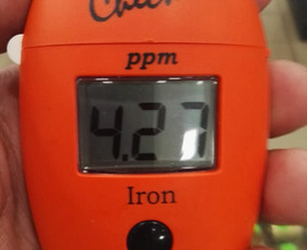 Vandens tyrimas vietoje. Geležies koncentracija 4,27 mg/l. Norma viršyta beveik 22 kartus.