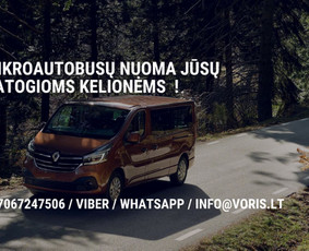 Keleivinis / Krovininis Mikroautobusiukas - Nuoma / Mikroautobusų nuoma / Darbų pavyzdys ID 2907159