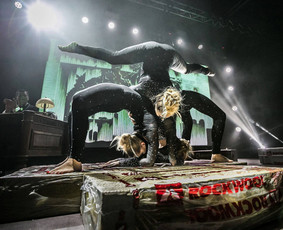 Šou programos / Diamonds Show / Darbų pavyzdys ID 2907633
