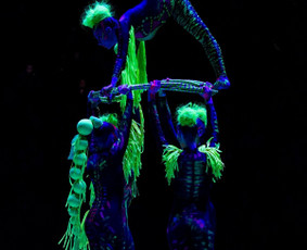 Šou programos / Diamonds Show / Darbų pavyzdys ID 2907645