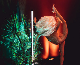 Šou programos / Diamonds Show / Darbų pavyzdys ID 2907647