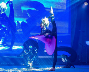 Šou programos / Diamonds Show / Darbų pavyzdys ID 2907671