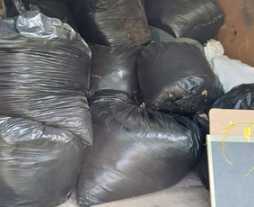 Kroviniu pervežimas šiukšlių išvežimas perkraustymo paslaugo / Mindaugas / Darbų pavyzdys ID 2908631