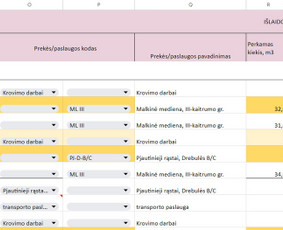 Ms Excel & Google sheets specialistai / XLS darbai / Darbų pavyzdys ID 2911089