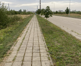 Žolės pjovimas / Aplinkos priežiūros darbai / Daimonas Ambrazas / Darbų pavyzdys ID 2911849