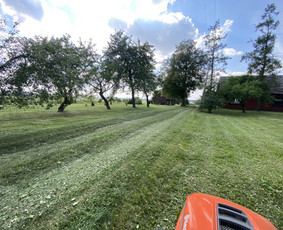 Žolės pjovimas / Aplinkos priežiūros darbai / Daimonas Ambrazas / Darbų pavyzdys ID 2911855