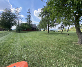 Žolės pjovimas / Aplinkos priežiūros darbai / Daimonas Ambrazas / Darbų pavyzdys ID 2911857
