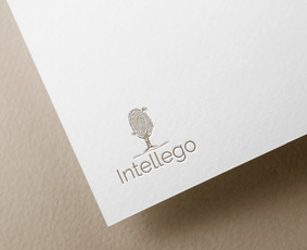 Logotipų kūrimas - Grafinis dizainas - Maketavimas / Ganna Pakhomova / Darbų pavyzdys ID 2912829