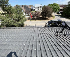 Sniego gaudyklės montavimas - Stogu dengimas, mediniai/skardiniai fasadai, terasos. - 3