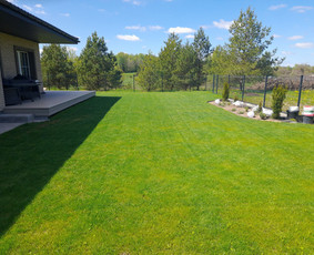 Vejos priežiūra, įrengimas - Vejos irengimas,tvoru montavimas. - 2