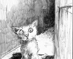 Iliustruotojas/karikatūristas - Knygų iliustravimas - 3 Knygų iliustravimas - Iliustruotojas/karikatūristas - 3