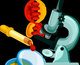 Biologijos korepetitoriai - Biologijos korepetitorius (mokytojas). Dirbu ir online. - 4