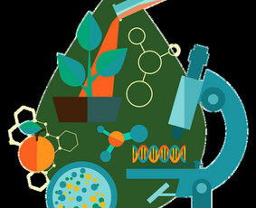 Biologijos korepetitoriai - Biologijos korepetitorius (mokytojas). Dirbu ir online. - 2