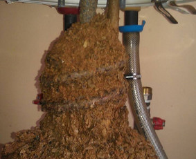 Buitinės technikos remontas Panevėžyje - Boilerių remontas, valymas - 1 Boilerių remontas, valymas - Buitinės technikos remontas Panevėžyje - 1