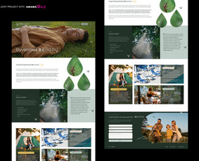 Ui/ux / web ir grafikos dizainas (vestuvių pakvietimai) / Evelina Remenčiūtė / Darbų pavyzdys ID 2924223