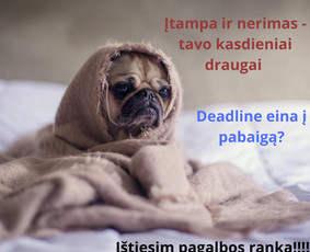Rašto darbų konsultantas / UniWordsmith / Darbų pavyzdys ID 2927679