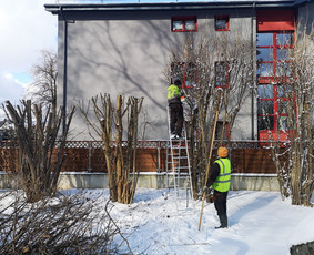 Naikiname, frezuojame, kelmus. Mulčiuojame peraugusią žolę / Danesa ir partneriai / Darbų pavyzdys ID 2928973