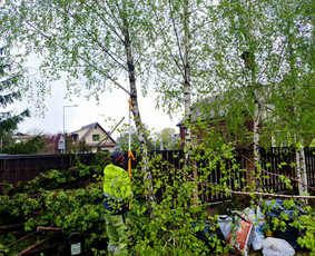 Naikiname, frezuojame, kelmus. Mulčiuojame peraugusią žolę / Danesa ir partneriai / Darbų pavyzdys ID 2928977
