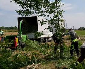 Naikiname, frezuojame, kelmus. Mulčiuojame peraugusią žolę / Danesa ir partneriai / Darbų pavyzdys ID 2928987