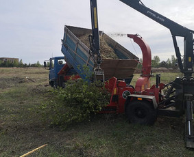 Naikiname, frezuojame, kelmus. Mulčiuojame peraugusią žolę - Šakų išvežimas - 2 Šakų išvežimas - Naikiname, frezuojame, kelmus. Mulčiuojame peraugusią žolę - 2