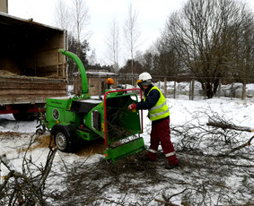 Naikiname, frezuojame, kelmus. Mulčiuojame peraugusią žolę - Šakų išvežimas - 1 Šakų išvežimas - Naikiname, frezuojame, kelmus. Mulčiuojame peraugusią žolę - 1