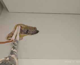 Profesionalus montavimas oras-oras ir oras-vanduo / Vaidas S. / Darbų pavyzdys ID 2934061
