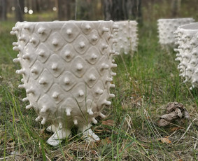 Keramikos užsiėmimai/pamokos. Keramika Jums ir Jūsų namams. / Kristina Paulauskaitė-Ramonaitienė / Darbų pavyzdys ID 2934901