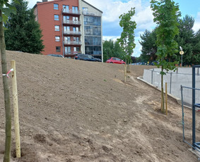 Aplinkos apželdinimas, tvarkymas, gerbūvio darbai. / Žaliasis spektras / Darbų pavyzdys ID 2935613