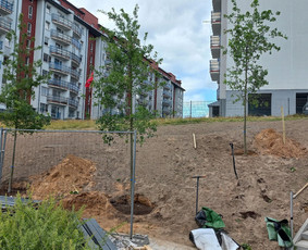Aplinkos apželdinimas, tvarkymas, gerbūvio darbai. - Augalų ir medelių sodinimas - 3 Augalų ir medelių sodinimas - Aplinkos apželdinimas, tvarkymas, gerbūvio darbai. - 3