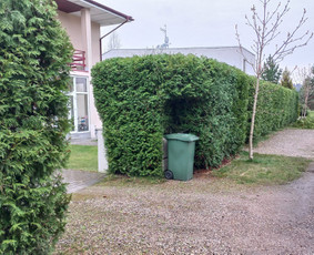 Aplinkos apželdinimas, tvarkymas, gerbūvio darbai. / Žaliasis spektras / Darbų pavyzdys ID 2935625