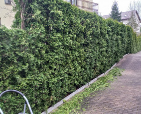 Aplinkos apželdinimas, tvarkymas, gerbūvio darbai. / Žaliasis spektras / Darbų pavyzdys ID 2935627