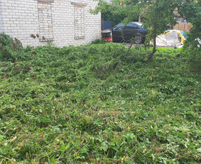 Aplinkos apželdinimas, tvarkymas, gerbūvio darbai. / Žaliasis spektras / Darbų pavyzdys ID 2935645