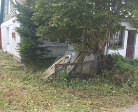 Aplinkos apželdinimas, tvarkymas, gerbūvio darbai. / Žaliasis spektras / Darbų pavyzdys ID 2935647