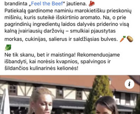 Komunikacijos konsultantė ir Tekstų kūrėja (10+ m. patirtis) / Laura Vokietaitė / Darbų pavyzdys ID 2938171