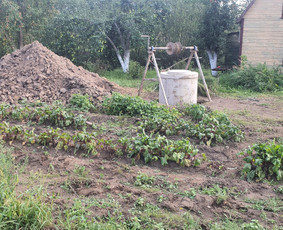 Šuliniu kasimas, gilinimas, valymas.vietine wc kasimas / Andrejus / Darbų pavyzdys ID 2940091