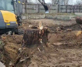 Naikiname, frezuojame, kelmus. Mulčiuojame peraugusią žolę - Medžių genėjimas, pjovimas - 2 Medžių genėjimas, pjovimas - Naikiname, frezuojame, kelmus. Mulčiuojame peraugusią žolę - 2