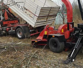 Medžių Pjovimas. Šakų Išvežimas, Kelmų Frezavimas. - Medžių genėjimas, pjovimas - 3 Medžių genėjimas, pjovimas - Medžių Pjovimas. Šakų Išvežimas, Kelmų Frezavimas. - 3