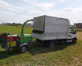 Medžių Pjovimas. Šakų Išvežimas, Kelmų Frezavimas. / UAB Danesa ir partneriai / Darbų pavyzdys ID 2940911