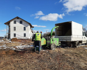 Medžių Pjovimas. Šakų Išvežimas, Kelmų Frezavimas. / UAB Danesa ir partneriai / Darbų pavyzdys ID 2940963