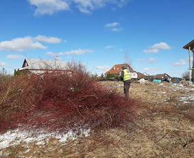 Medžių Pjovimas. Šakų Išvežimas, Kelmų Frezavimas. / UAB Danesa ir partneriai / Darbų pavyzdys ID 2940967