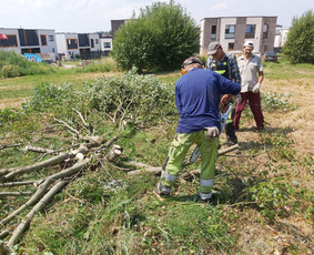 Medžių Pjovimas. Šakų Išvežimas, Kelmų Frezavimas. / UAB Danesa ir partneriai / Darbų pavyzdys ID 2940973