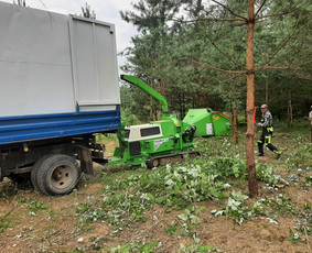 Medžių Pjovimas. Šakų Išvežimas, Kelmų Frezavimas. / UAB Danesa ir partneriai / Darbų pavyzdys ID 2940991