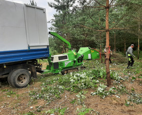 Medžių Pjovimas. Šakų Išvežimas, Kelmų Frezavimas. / UAB Danesa ir partneriai / Darbų pavyzdys ID 2940995